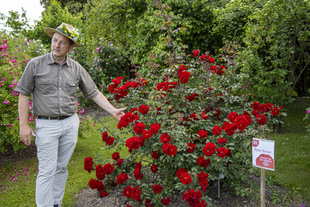 Roter Korsar in Matjaž Mastnak-direktor Arboretuma foto Mateja Račevski